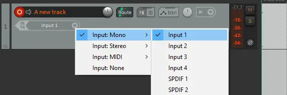 Screenshot of setting the input for a track in Reaper