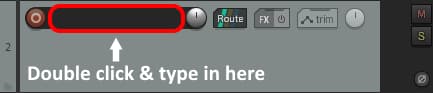 Screenshot of the track name input field in Reaper