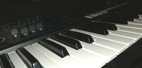Close up photo of the keyboard of a Roland Juno DS61 synth