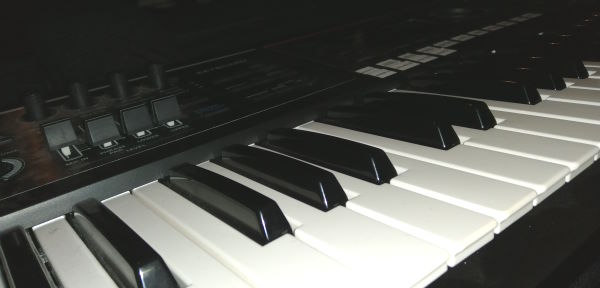 Close up photo of the keyboard of a Roland Juno DS61 synth