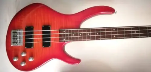 Photo of an electric bass guitar